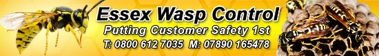 Essex Wasp Control